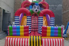 IMG_20251220_113153545.jpg-1-scaled