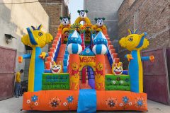 IMG_20260110_153231807.jpg-1-scaled