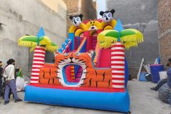 IMG_20260116_164626204.jpg-1-scaled