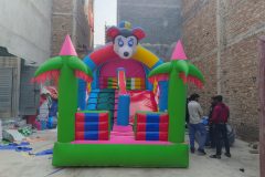 IMG_20260117_123628463.jpg-scaled