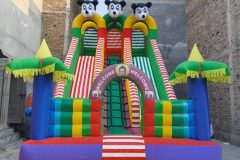 IMG_20260121_163214483.jpg-scaled