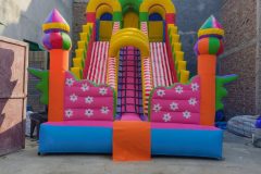 IMG_20260126_130156171.jpg-scaled