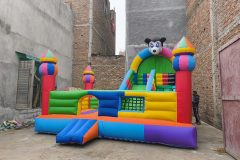 IMG_20260128_123833781.jpg-scaled