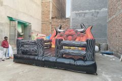 IMG_20260129_172644251.jpg-scaled