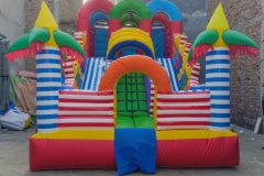 IMG_20260130_091815065.jpg-1-scaled