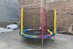 IMG_20260130_111703523.jpg-1-scaled