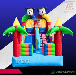 2 Lane Sliding Bouncy