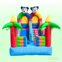 2 Lane Sliding Bouncy